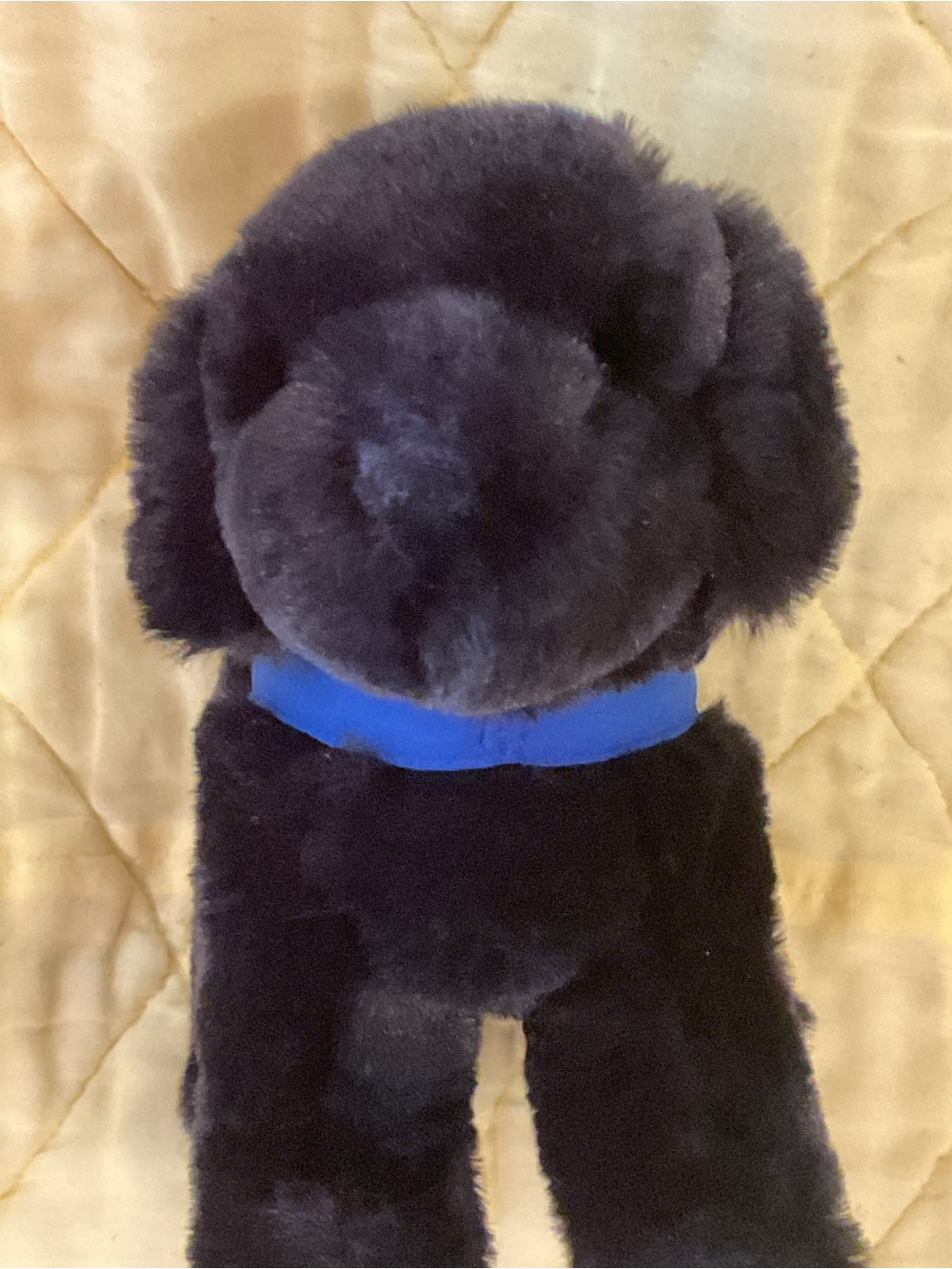 PLUSH BLACK LAB DOG (GUIDING EYES FOR THE BLIND)VERY SOFT 10”